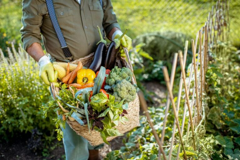 Bridging the Farm-to-Table Expectations with Supply Chain Realities | Modern Restaurant Management