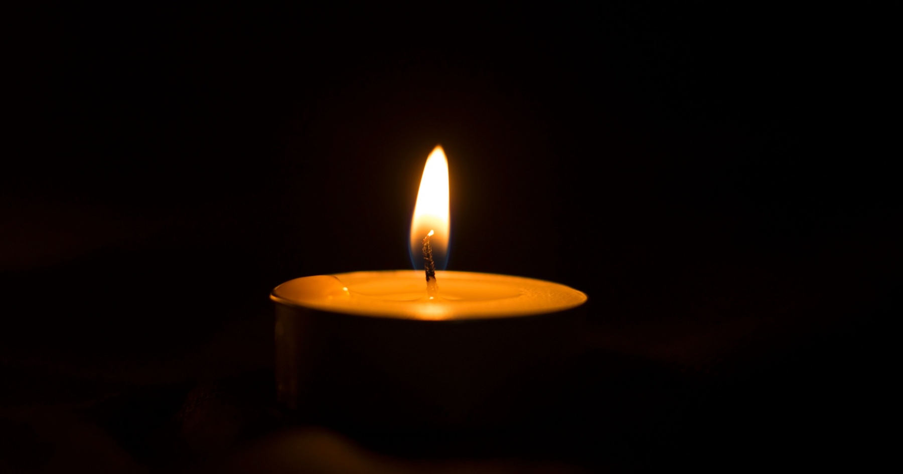 Luminaries we lost in 2025