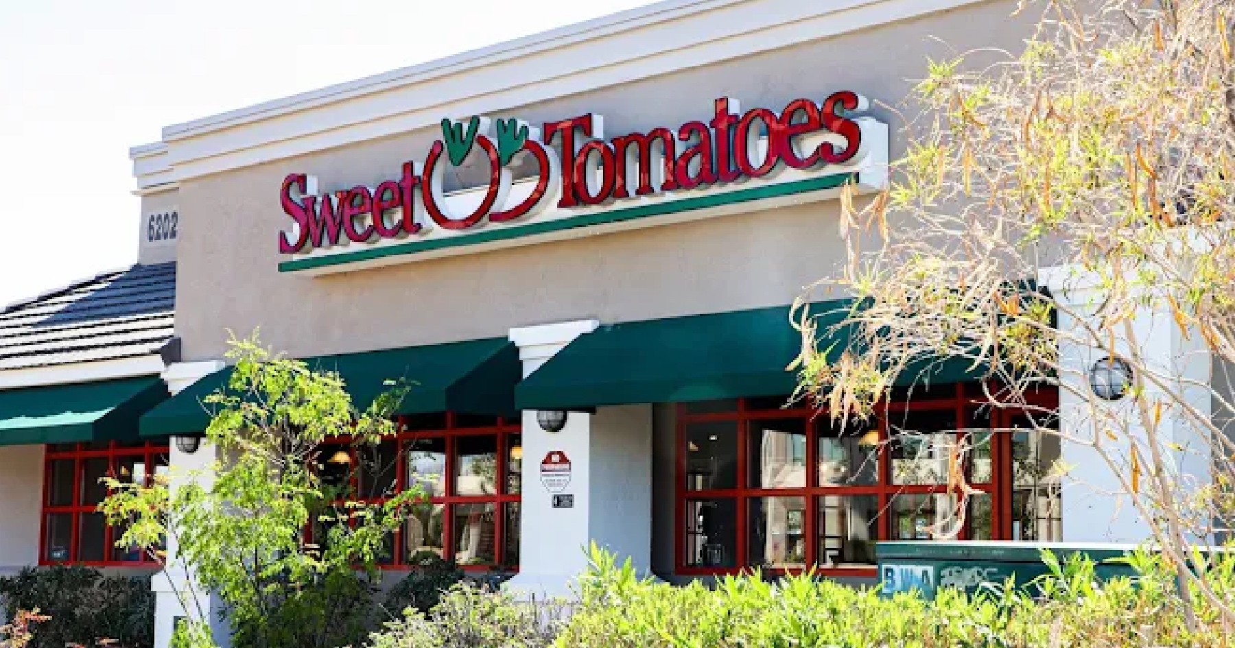 Sweet Tomatoes is not only back, it's growing