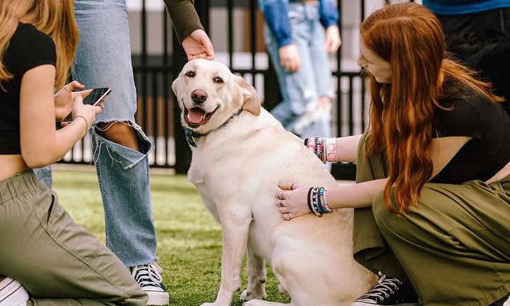 Celebrate Valentine’s Day “Pawsitively In Love” at BarkHaven on Saturday, February 14