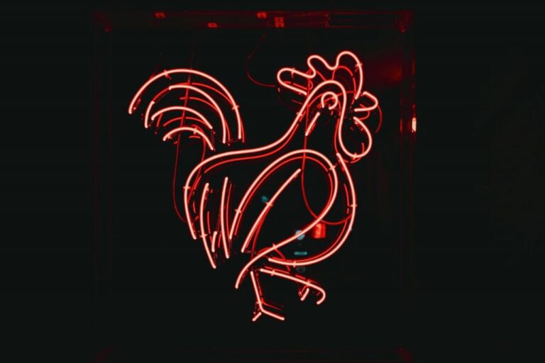 Differentiation Will Define the Chicken Category’s Future | Modern Restaurant Management