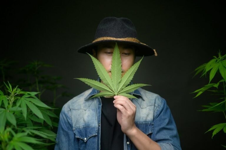 New York’s Cannabis Consumption Lounges: A New Category of Experience-Driven Hospitality | Modern Restaurant Management