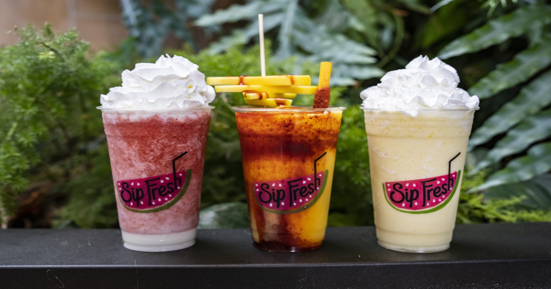 Sip Fresh positions to bring the beverage boom to non-traditional settings
