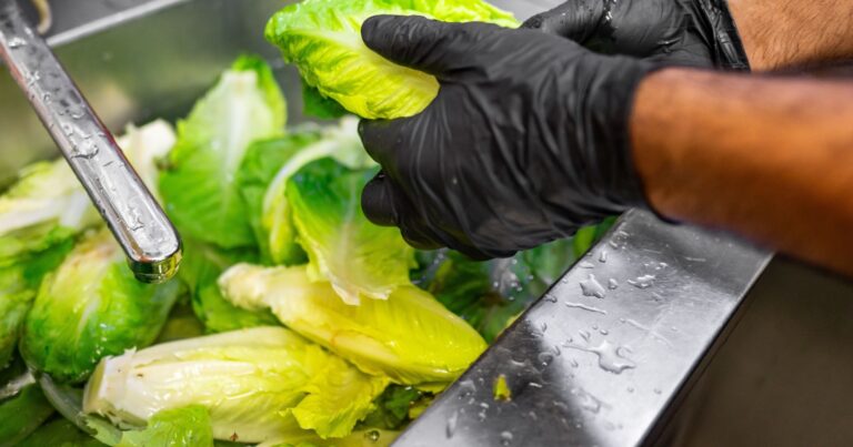 Cyclospora and others test restaurant supply chains