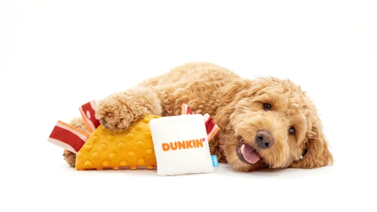 Dunkin', Bark launch 1st dog drive-thru, 2026 toy collection