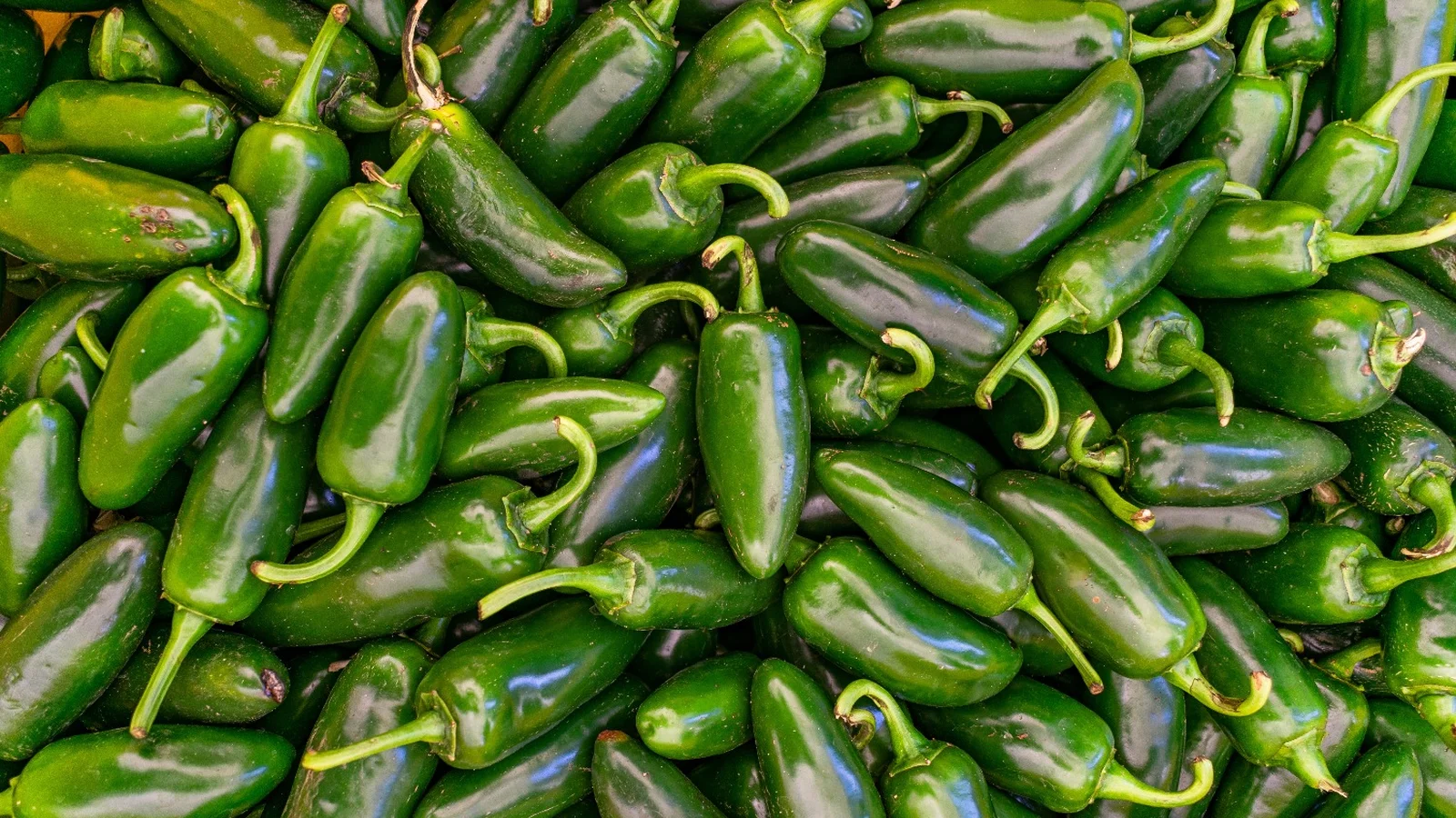 FDA, CDC say danger has passed after Chipotle, Qdoba pull jalapenos