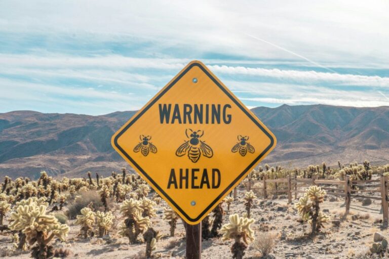 Monitor Financial Warning Signs | Modern Restaurant Management