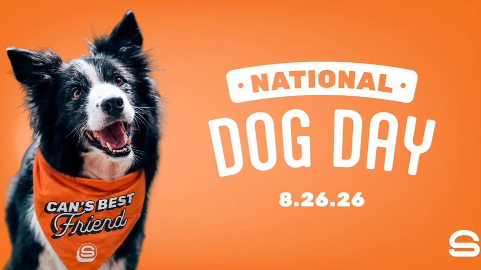 Smalls Sliders offers free dog bandanas for National Dog Day