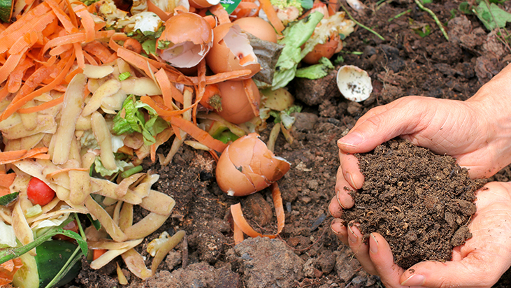 Restaurants face a new food waste regulatory landscape