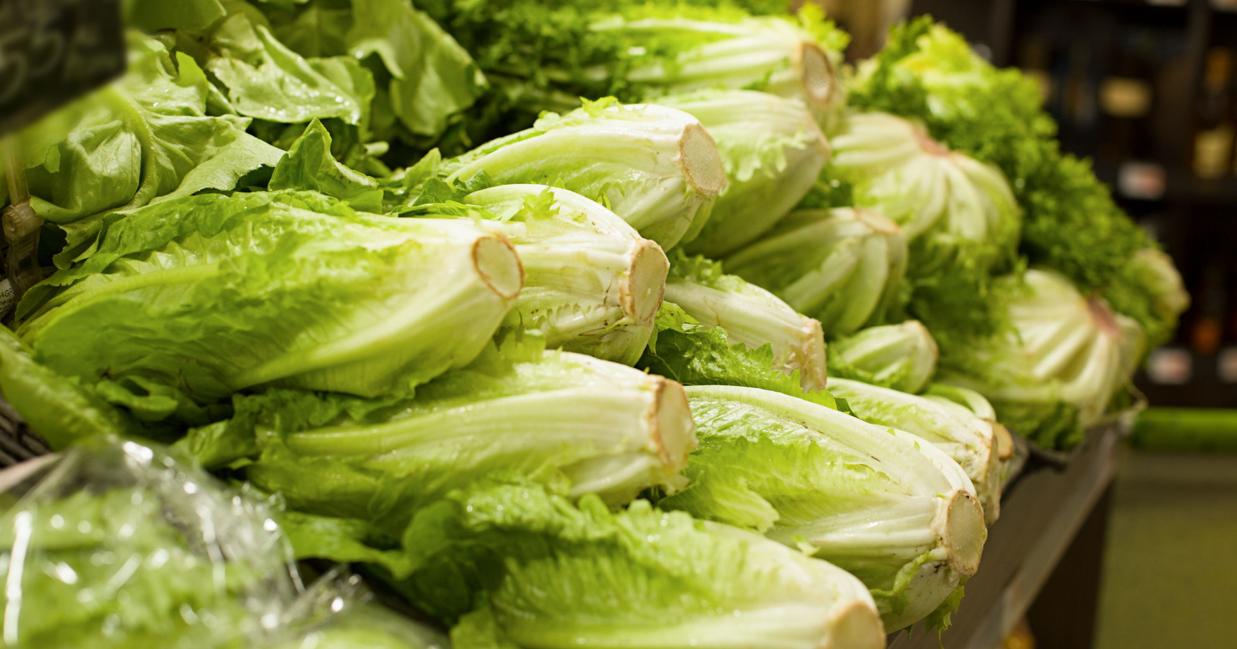 Taylor Farms iceberg lettuce recall classified as high-risk ‘Class I event’ by the FDA